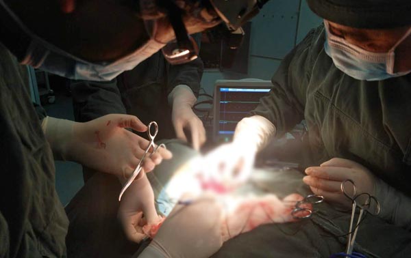 1589597181777613.jpg 7844bb06da6b2af58ae5f1ee7d8e01ea.jpg